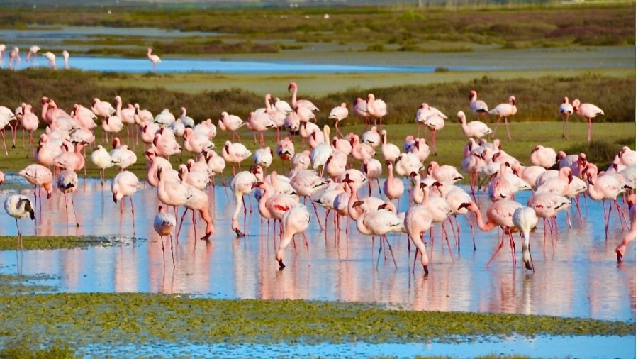 3 Bedroom Property for Sale in Velddrif Western Cape